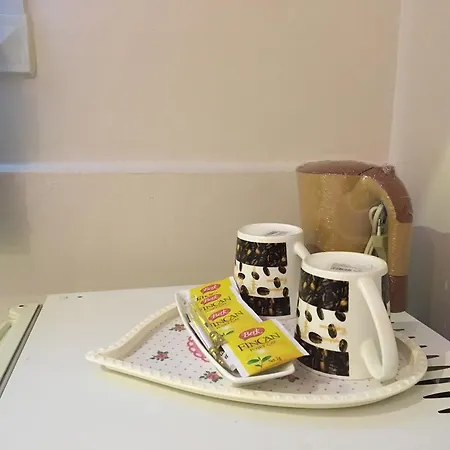 بيت ضيافة Bakirkoy
